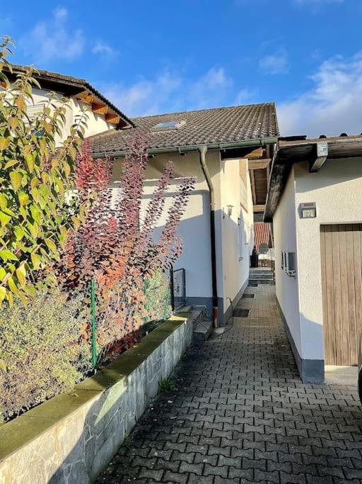 Modernes Apartment Mit Top Ausstattung Und Kamin Im Oberpfaelzer Seenland Nittenau Exterior foto