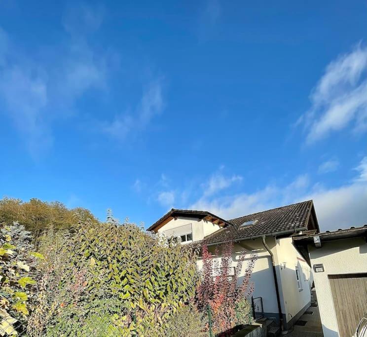 Modernes Apartment Mit Top Ausstattung Und Kamin Im Oberpfaelzer Seenland Nittenau Exterior foto